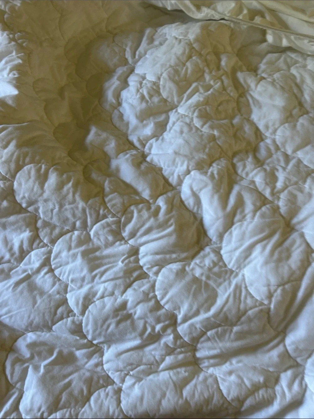 White Cotton twin xl mattress pad | used once | no stains